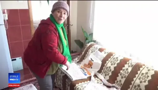 A cusut pe o pânză de 100 de ani, literă cu literă, cele 98 de strofe din Luceafărul