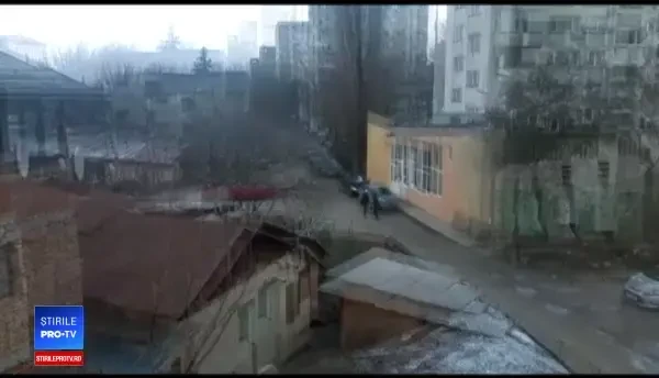 Decizia luată de autoritățile din Iași după ce trei persoane au fost atacate de câini