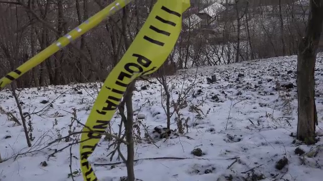 Un bărbat a fost ucis cu furcile și topoarele, pe un câmp din Botoșani