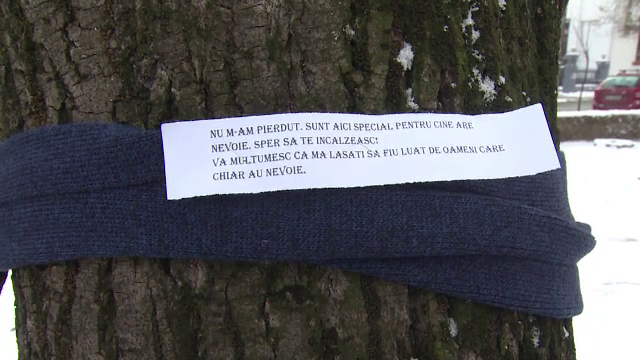 Gestul generos al unor tineri din Pitești. Darurile au fost înfăşurate pe copaci
