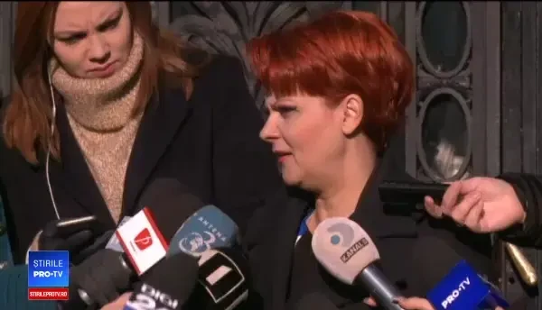 PSD a decis propunerea de premier. Viorica Dăncilă, votată în Comitetul Executiv