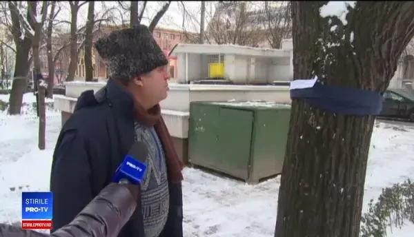 Gestul generos al unor tineri din Pitești. Darurile au fost înfăşurate pe copaci