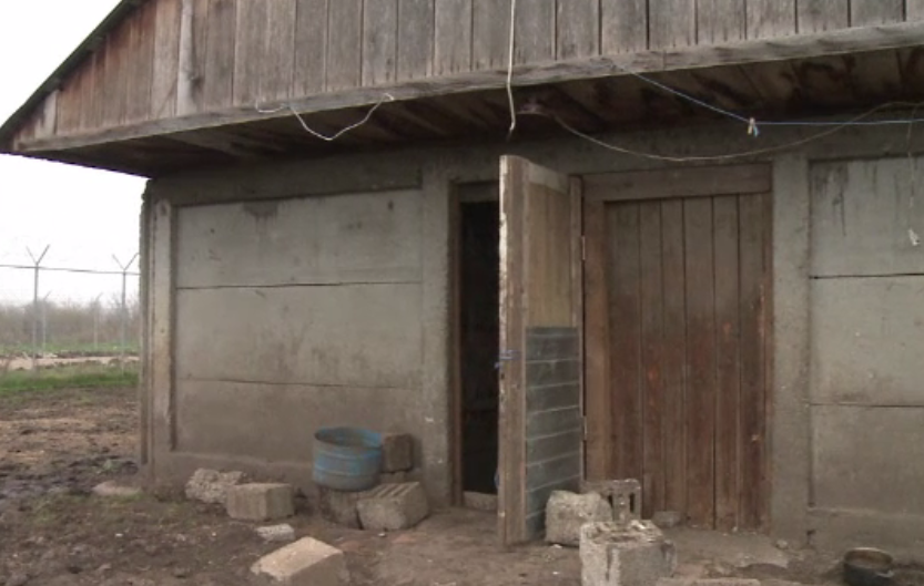 Ciobanul ale cărui oi amenință scutul antirachetă de la Deveselu cere 80.000 de lei să renunțe la stână