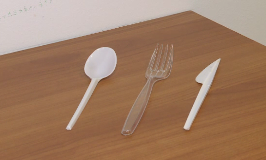 România va interzice pungile din plastic de la 1 iulie 2018