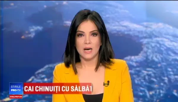 Soarta şefului Poliţiei Române, discutată azi. Carmen Dan ar putea obţine demiterea lui