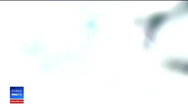 Viscol puternic în mai multe județe. Dezastrul provocat de vântul care a atins 130 de km/h