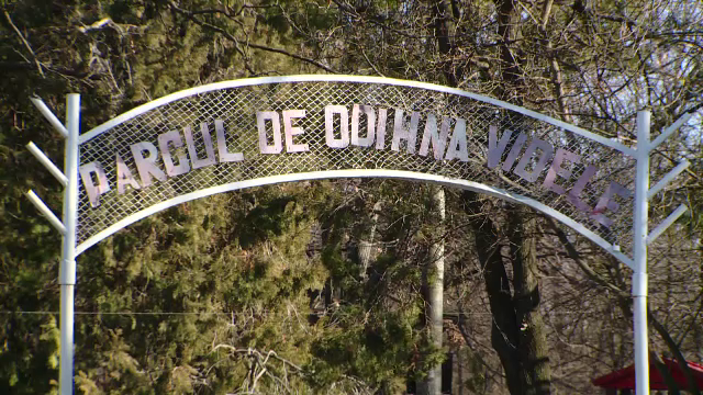 videle, viorica dancila, carmen dan, premier, romania, guvern