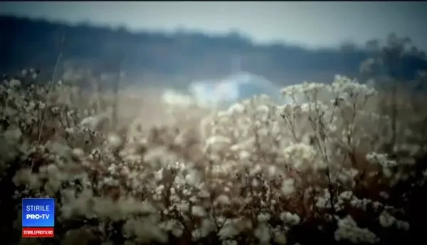 Unul dintre cele mai frumoase locuri din adâncuri, vizitat de 600.000 de turiști: E ceva unic