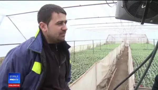 Soluția Ministerului Agriculturii pentru fermierii din Romania: cooperativele agricole