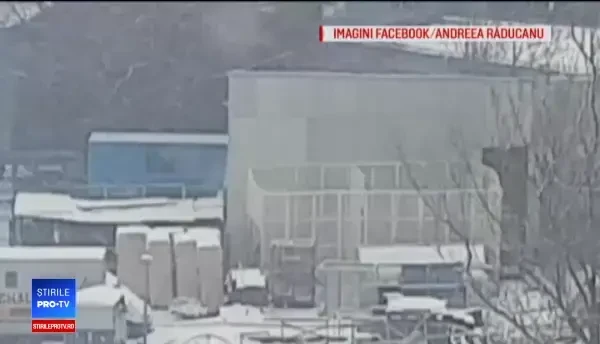 Scandal la Circul Globus, din cauza condiţiilor în care ar fi ţinuţi tigrii