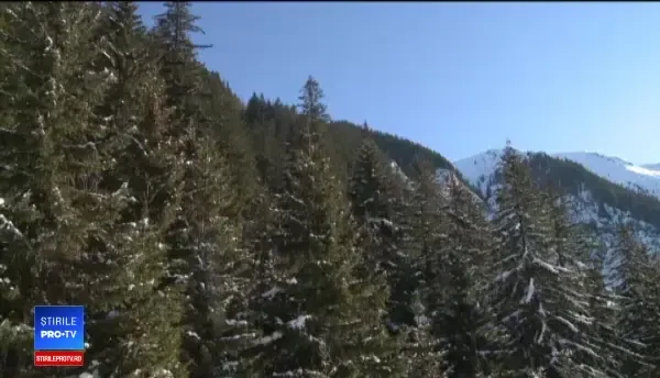 Bâlea Lac, destinaţia preferată a amatorilor de ski extrem. A apărut şi o biserică de gheaţă