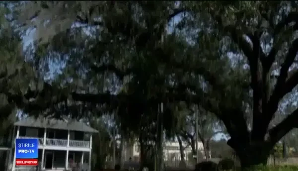 I-a lăsat cheile de la Ferrari valetului de la restaurant, care le-a dat unui hoţ