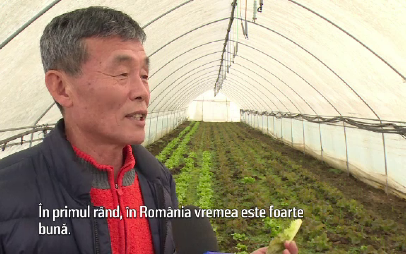 Afacerea de succes deschisă de un coreean la noi în țară. ”România e foarte bine”