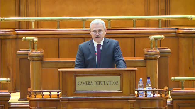 Liviu Dragnea, Parlament