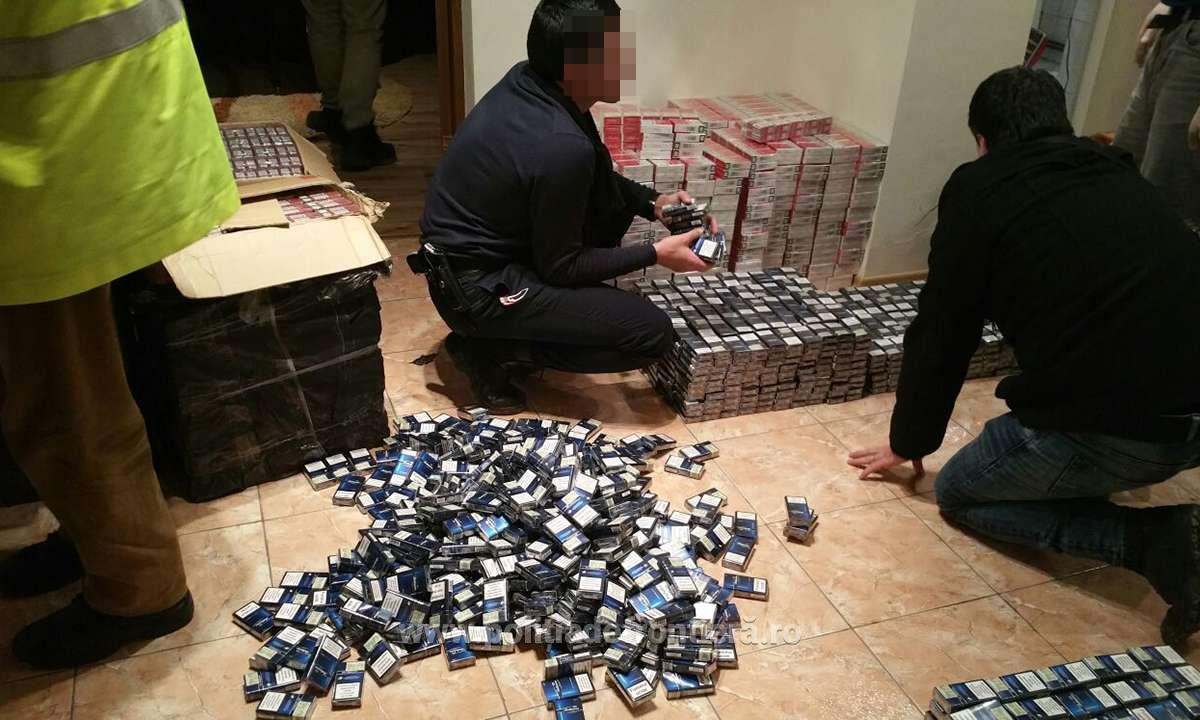 Percheziții Constanța