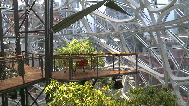 Amazon „a adus” Pădurea Amazoniană în noua sa clădire. Costul: 4 miliarde de dolari