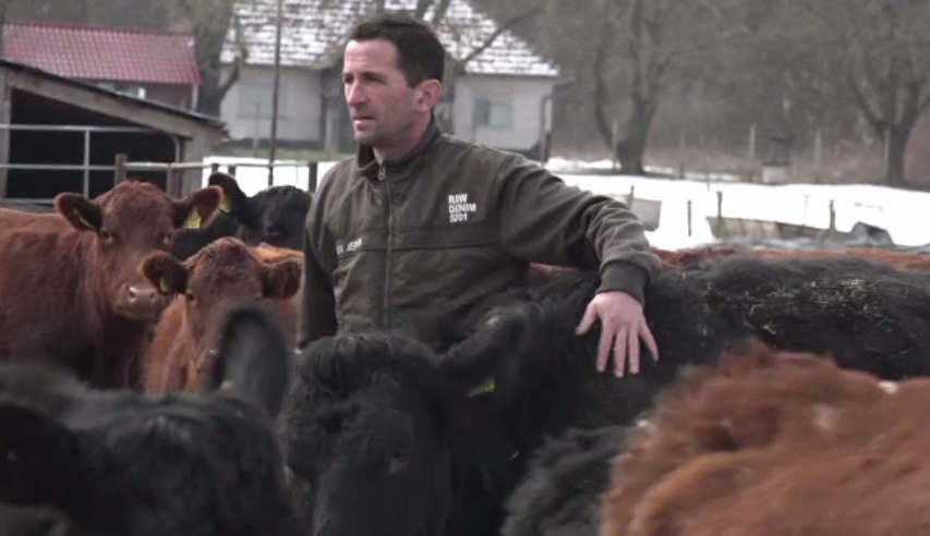 Rasa de vaci care aduce profit de zeci de mii de euro fermierilor români