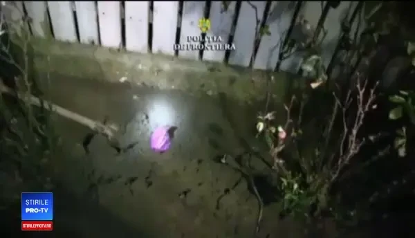 Descoperirea făcută de polițiștii de frontieră, în grădina unui suspect. VIDEO