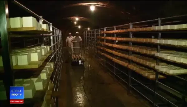 Brânza produsă într-o peşteră, ”salvată” de fermieri din Cluj. Este unică în lume