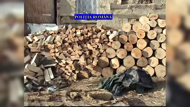 Percheziții la hoţii de lemne din Prahova. Ce i-au făcut pădurarului