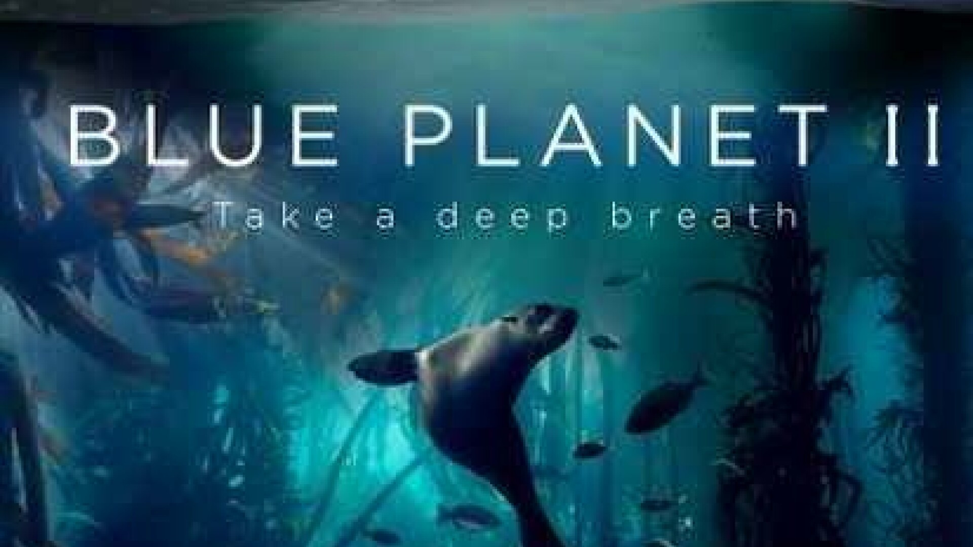 Premierul britanic Theresa May îi face cadou președintelui Chinei DVD-uri cu serialul Planeta Albastră