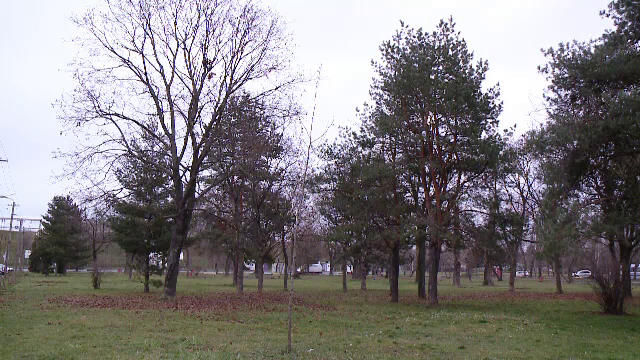 Studenții și profesorii din Timișoara vor să stabilească zona cu cel mai „sănătos” aer