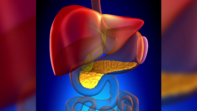 Cantitățile uriașe de grăsime din mâncare depășesc tot ce poate ficatul să producă într-o zi. Explicațiile medicilor