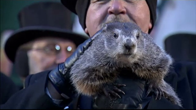 Phil a prezis: iarna mai stă şase săptămâni în SUA