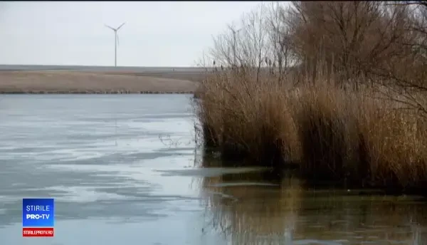 Bani de la Bruxelles pentru dezvoltarea pescuitului. Cât de rentabile sunt fermele piscicole în România