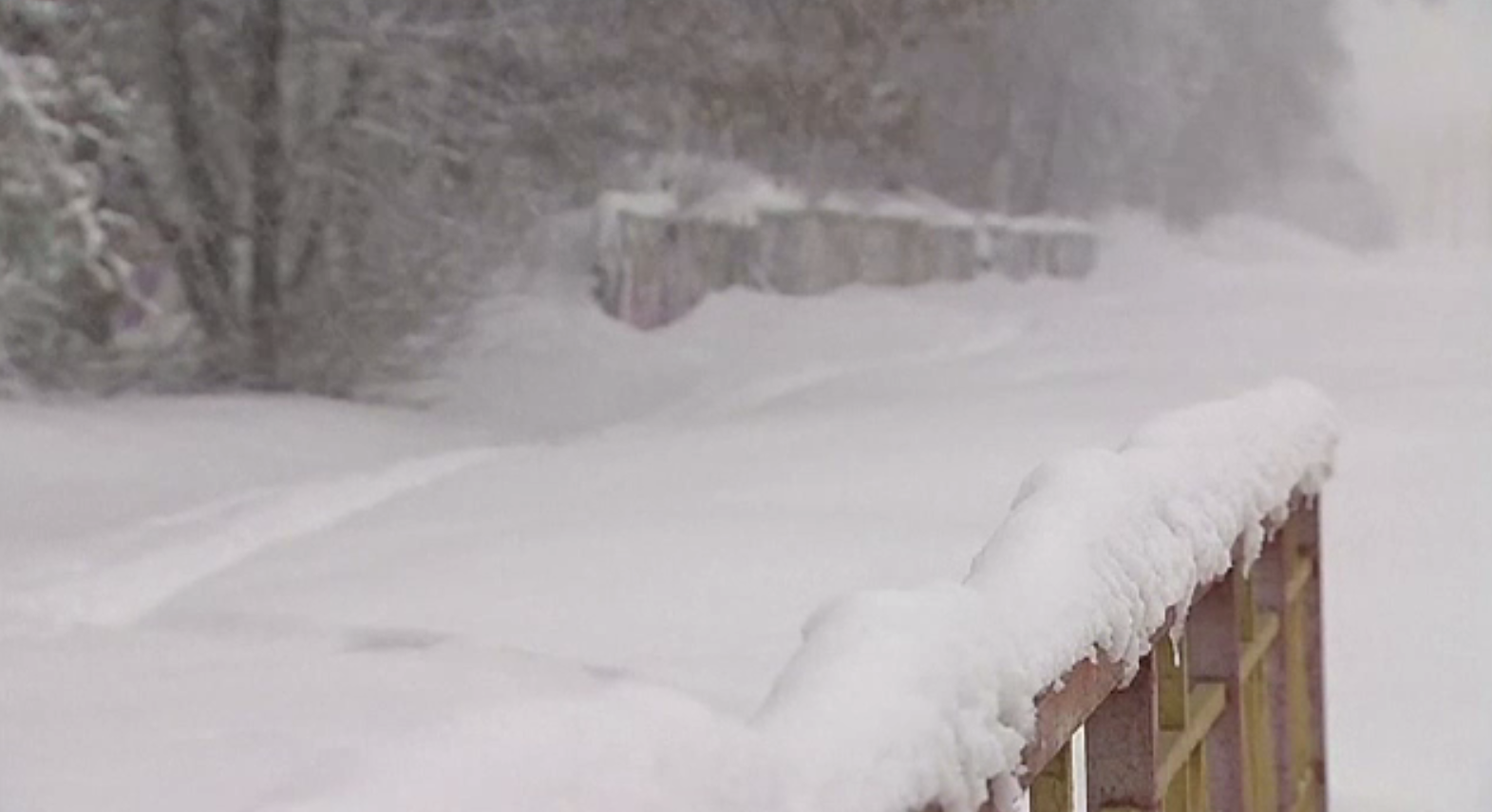 Strat de zăpadă record în Rusia. Mii de copaci s-au prăbușit și o persoană a murit