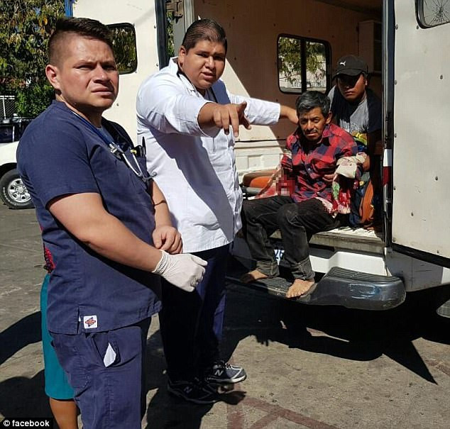 zoo, brate, tigri, muncitor