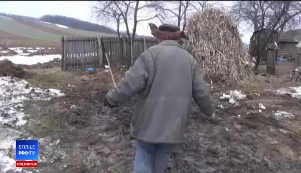 Peste două tone de furaje, făcute scrum într-un incendiu. Proprietarii sunt convinşi că focul a fost pus intenţionat