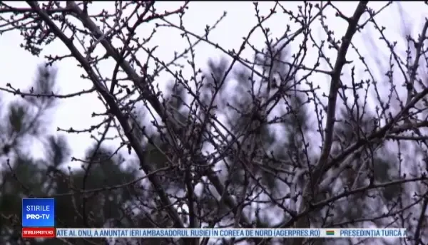 Horoscop 8 februarie 2018. Probleme de sănătate pentru nativii din această zodie