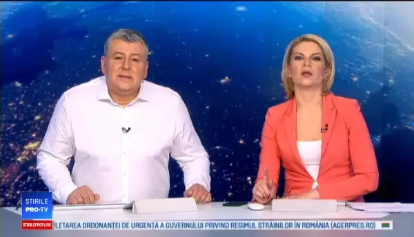 Un pui de tigru, găsit într-un colet de angajații unui oficiu poștal din Mexic