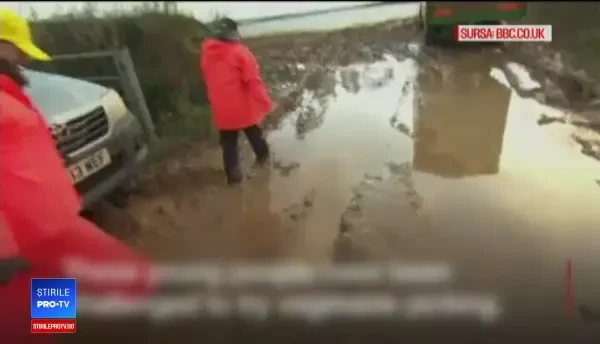 EXPERIMENT la o fermă din Anglia. Est-europenii, de 10 ori mai rapizi decât tinerii britanici. VIDEO