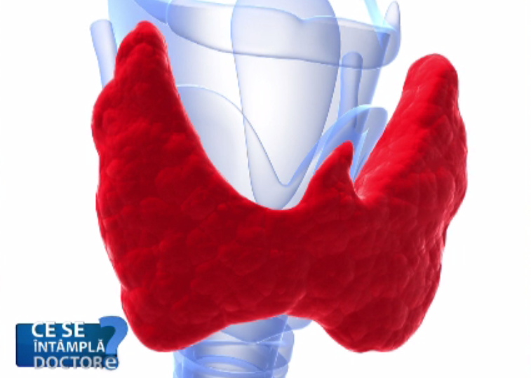 Analizele la tiroidă, necesare o dată pe an și în lipsa simptomelor