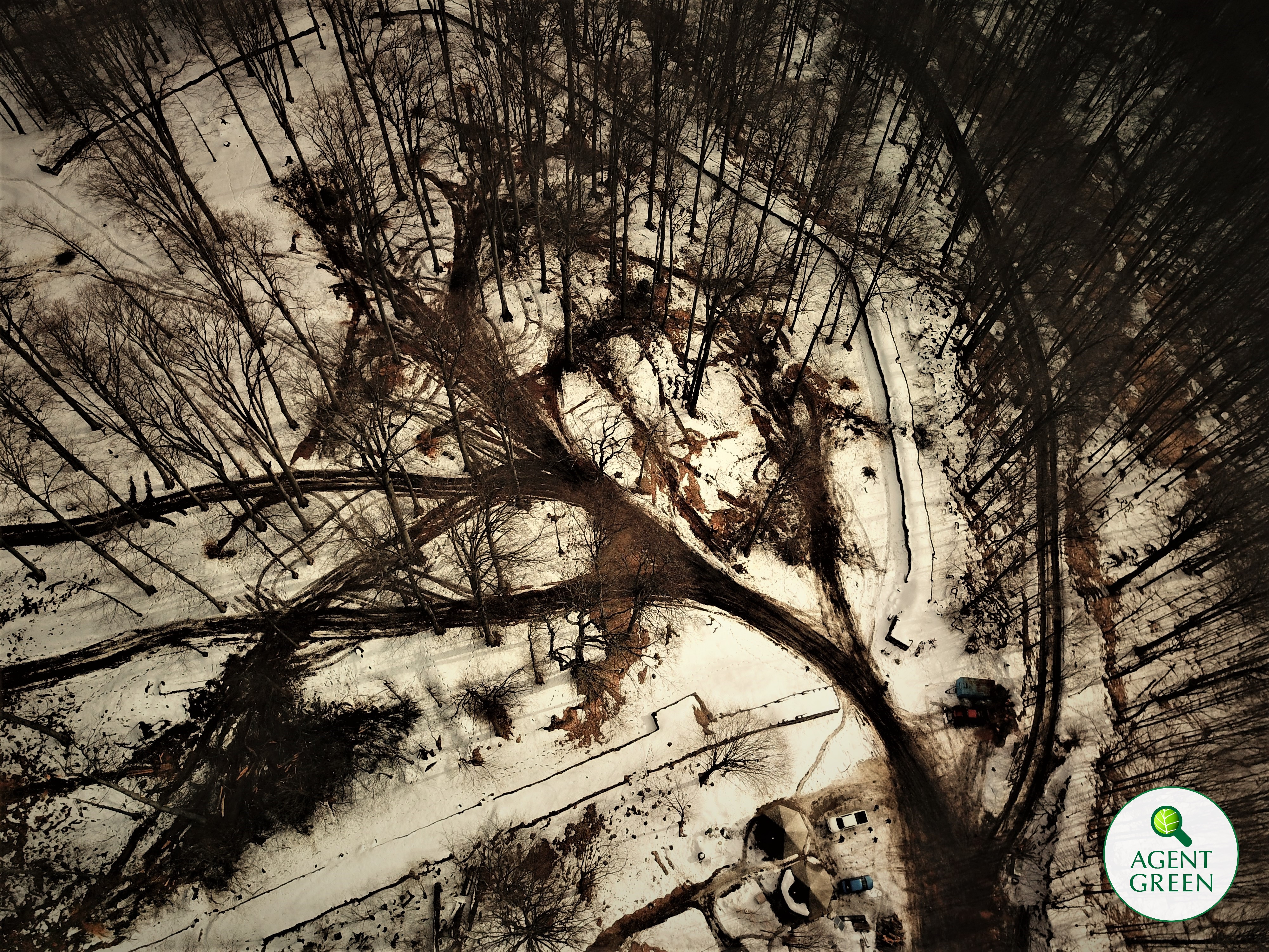 Semnal de alarmă în privința defrișărilor de la Sarmizegetusa: ”S-au soldat cu distrugeri”