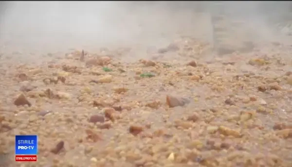 Deși românii sunt mari consumatori de fasole, peste 80% este importată