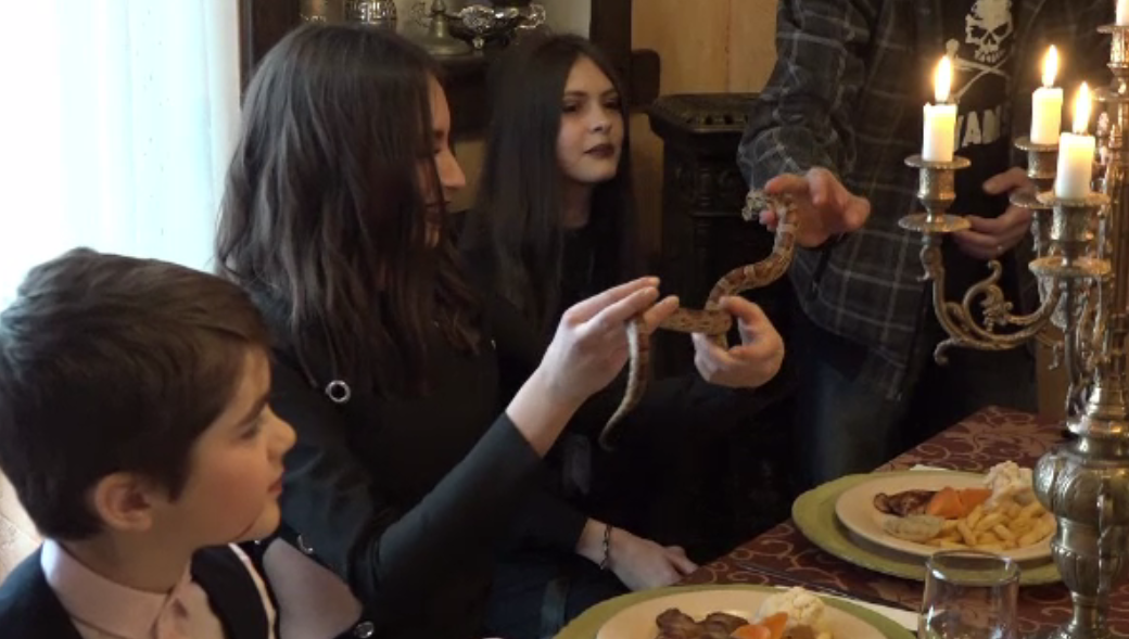 Mai mulți copii din Maramureș se antrenează cu șerpi și tarantule să devină modele