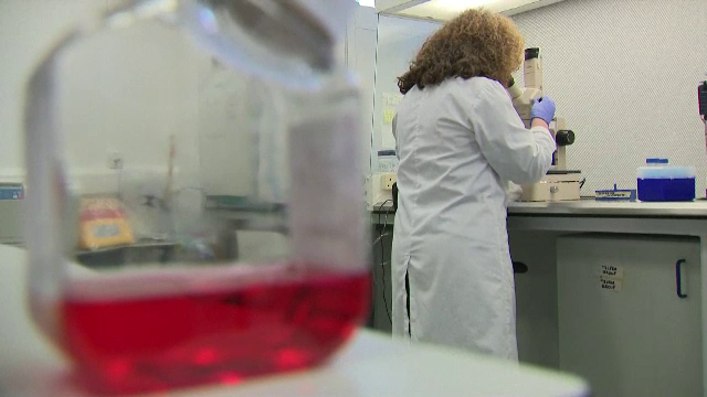 Premieră a cercetătorilor scoțieni: ovulele crescute în laborator