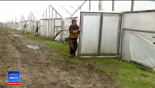 Legumele și fructele românești vor ajunge mai devreme în pieţe