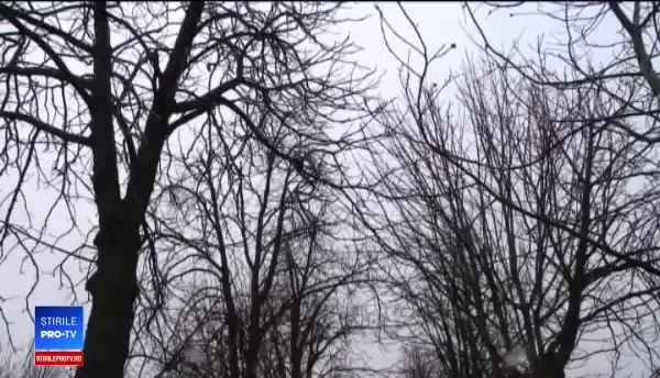 Conacul din România care ascunde un secret: aici a fost ascuns trupul unui celebru erou