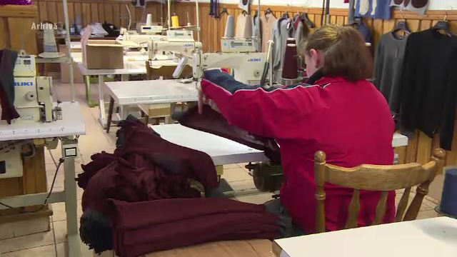 Fabrici închise pentru că nu are cine să lucreze în ele. Unde sunt muncitorii români