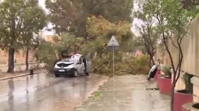 Românul care a murit strivit de un copac în Malta plecase din Bistriţa în căutarea unui trai mai bun