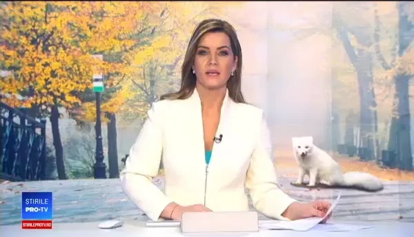 Prin ce peripeții a trecut o vulpe polară, după ce a evadat de la Delfinariul din Constanța