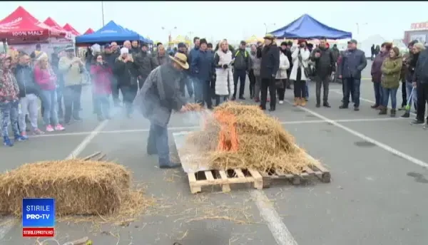 Întrecere în prepararea cărnii de porc la Oradea. Porcu-i bun oricând