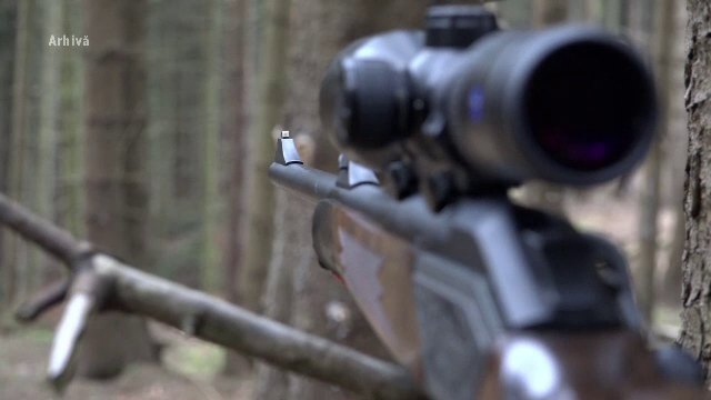 Bărbat din Galați plecat să vâneze o vulpe și-a împușcat, din greșeală, fiul