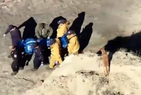 Un american a murit, după ce a încercat să-i salveze viața câinelui său. VIDEO