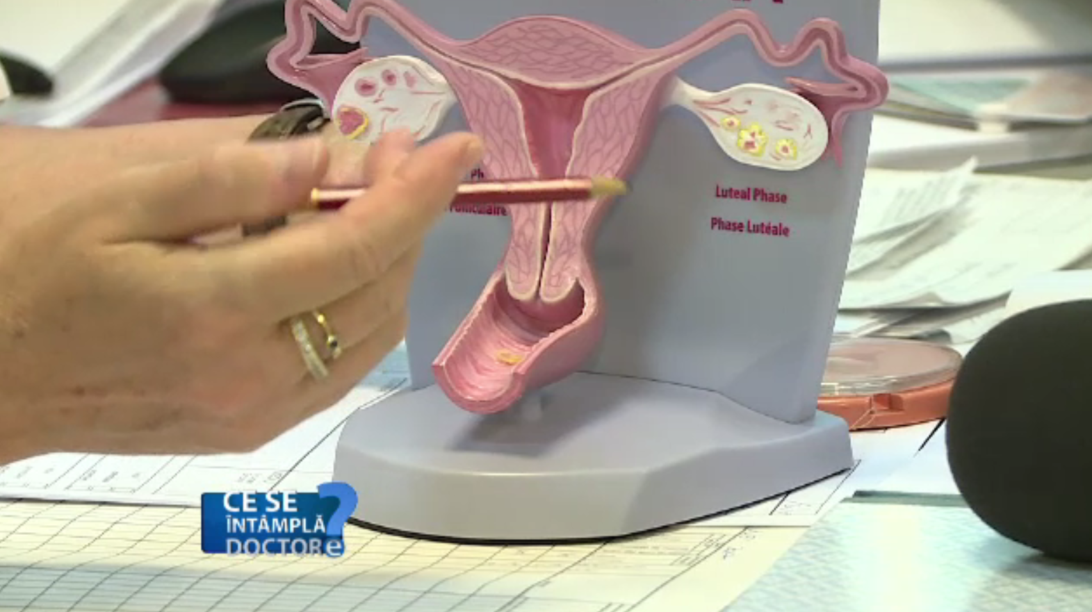 Bolile pe care le poate contacta o femeie prin raport sexual neprotejat