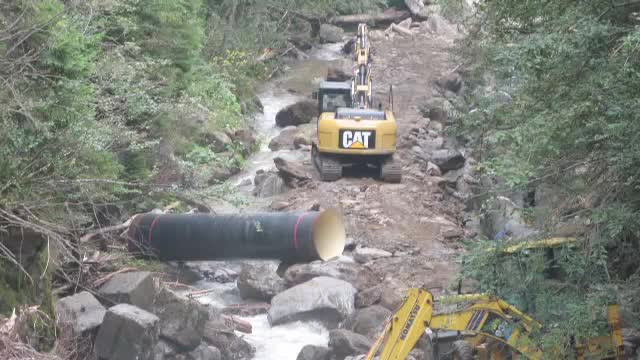 dezastru ecologic Jiu